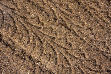 Tire Tracks in Sand