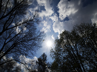 spring sky
