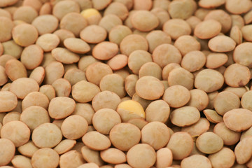 green lentil background