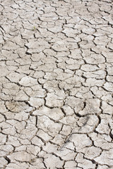 Dry soil background