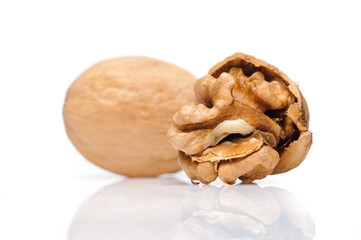 Walnut