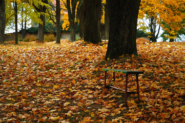 Alley in autumn