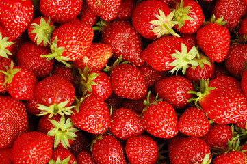 fresh strawberry
