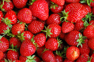fresh strawberry