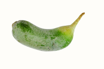 green radish
