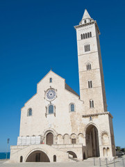 Fototapeta na wymiar Katedra w Trani. Apulia.