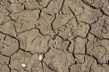 Cracked clay