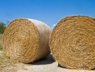 Rolling Haystack. Apulia.