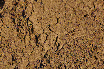terra secco arido siccità