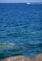 Splendid Corsica coast.