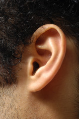 male ear in close up