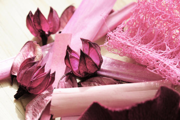 Couleur végétale vieux rose