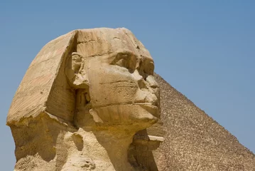 Fototapeten Egypte-Sphinx © tomsturm