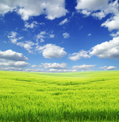field