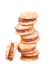 Cookies with chocolate