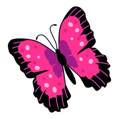 Butterfly Illustration