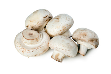mushrooms