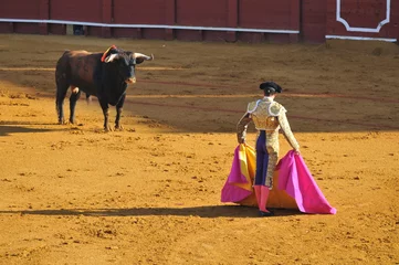 Plaid mouton avec photo Tauromachie Corrida - Début