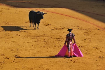 Wall murals Bullfighting Face au Taureau