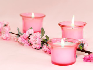 Burning candles and branch of colours on pink a background