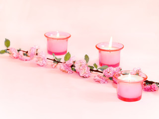 Burning candles and branch of colours on pink a background