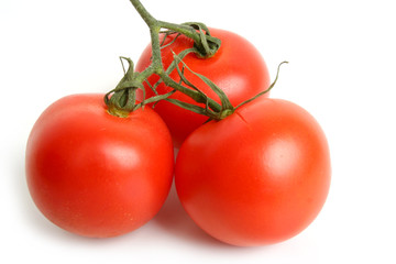 Tomato cherry on branch