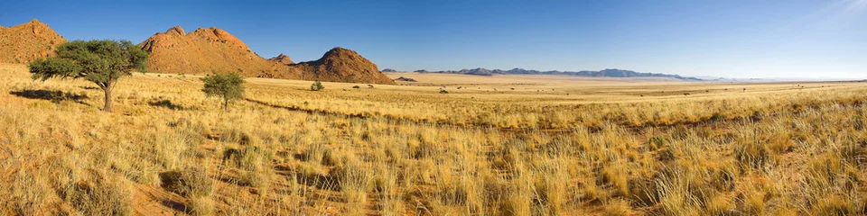 Gordijnen panorama afrika © ferkelraggae