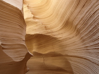 Limestone canyon in Sinai Peninsula