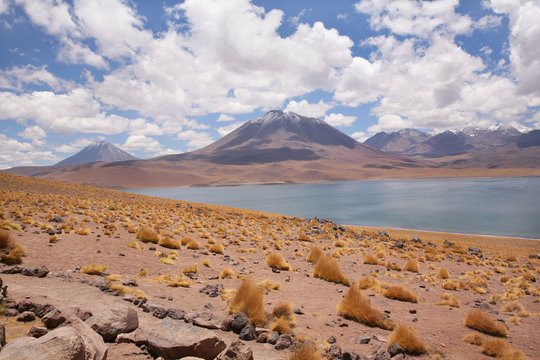 Vulkanlandschaft und Salzsee, altiplano Atacama/ Chile