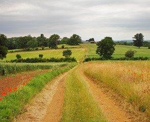 Fototapeta na wymiar An English Rural Landscape in Summer