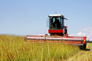 Large Swather Harvesting a Grass Field for Livestock Hay