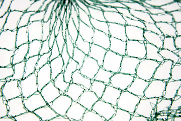 Fishing net