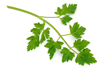 Parsley sprig
