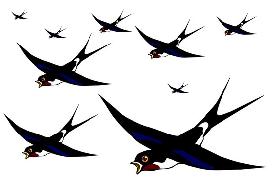 Flight of swallows on the white background vector eps10