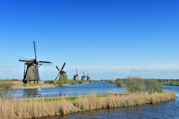 Windmill landscape at Kinderdijk The Netherlands