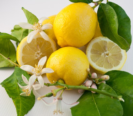 Lemon 1