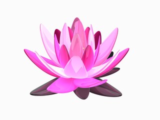 isolierte Lotusblüte © Sebastian Kaulitzki