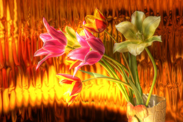 tulips bouqet - hdr image