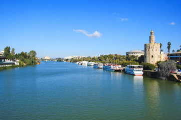 Obraz premium Torre del Oro, Seville