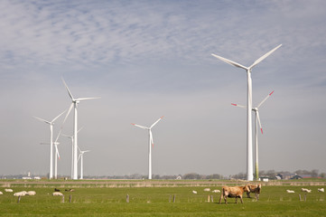 Fototapeta premium Windenergie