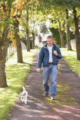 Fototapeta premium Man Walking Dog Outdoors In Autumn Park