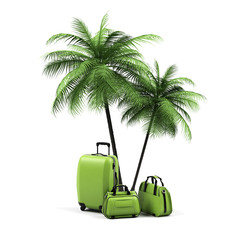 Obraz premium Luggage and palms on a white background.