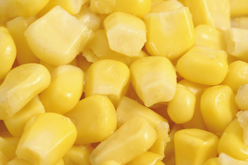 corn background © Milosz Bartoszczuk