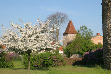 Stadtmauer Sta&szlig;furt