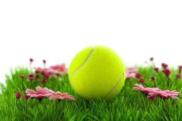 Tennis ball