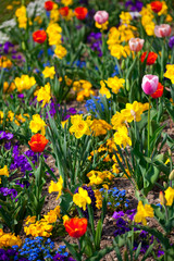 Obraz premium Sea of flowers