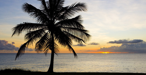 sunset over Caribbean Sea, Barbados