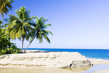 Western coast of Tobago