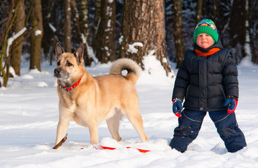 Dog and little boy in winter forest