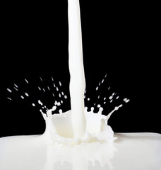 Slash of milk closeup